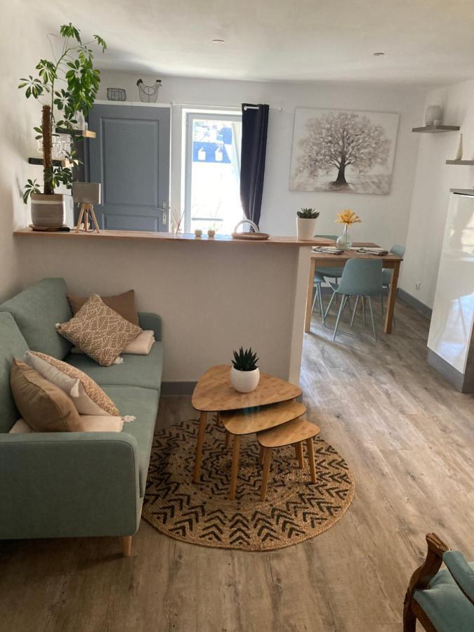 Bienvenue Chez Marie Pierre Apartment Oloron-Sainte-Marie Exterior photo